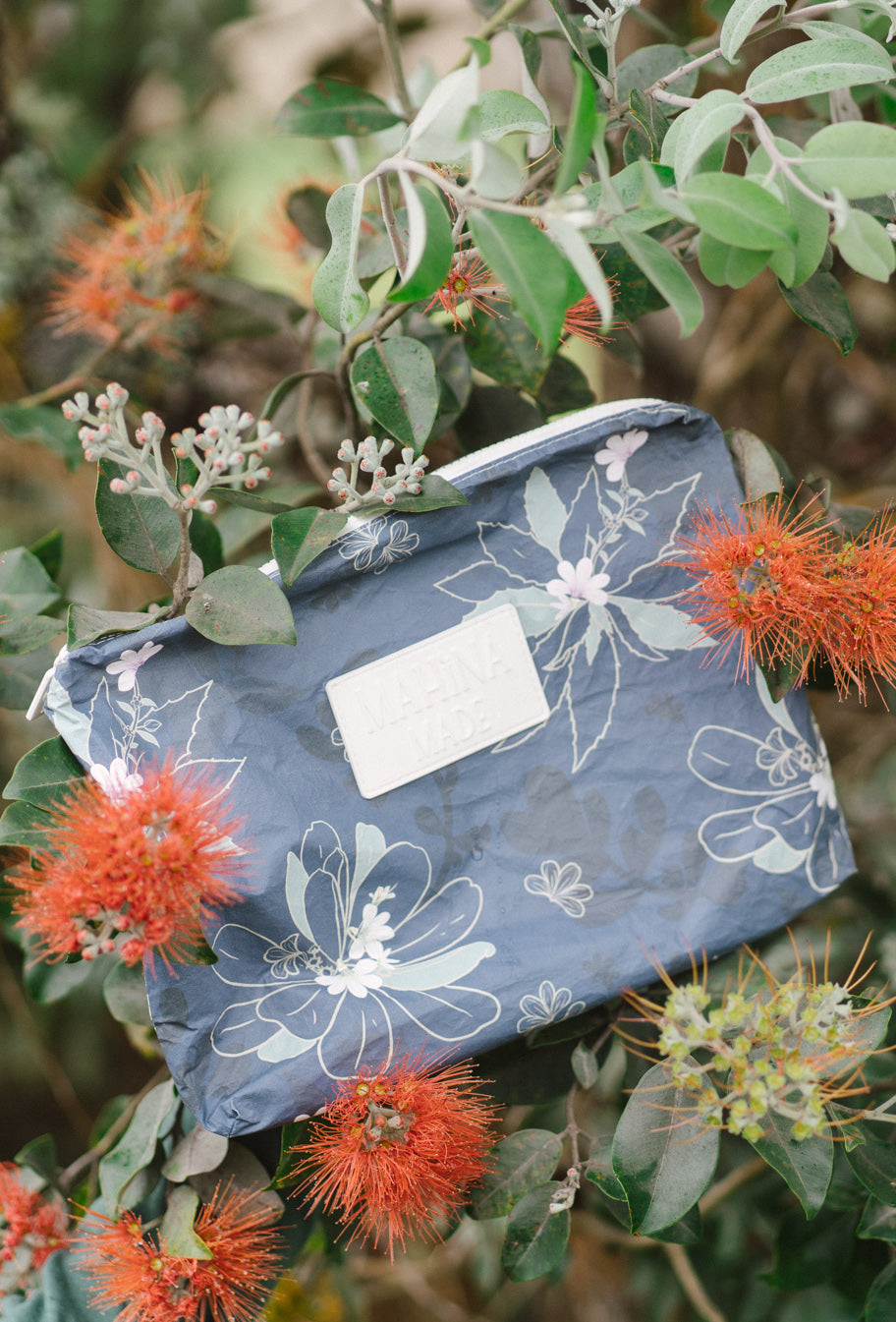 All About Native Hawaiian Plants