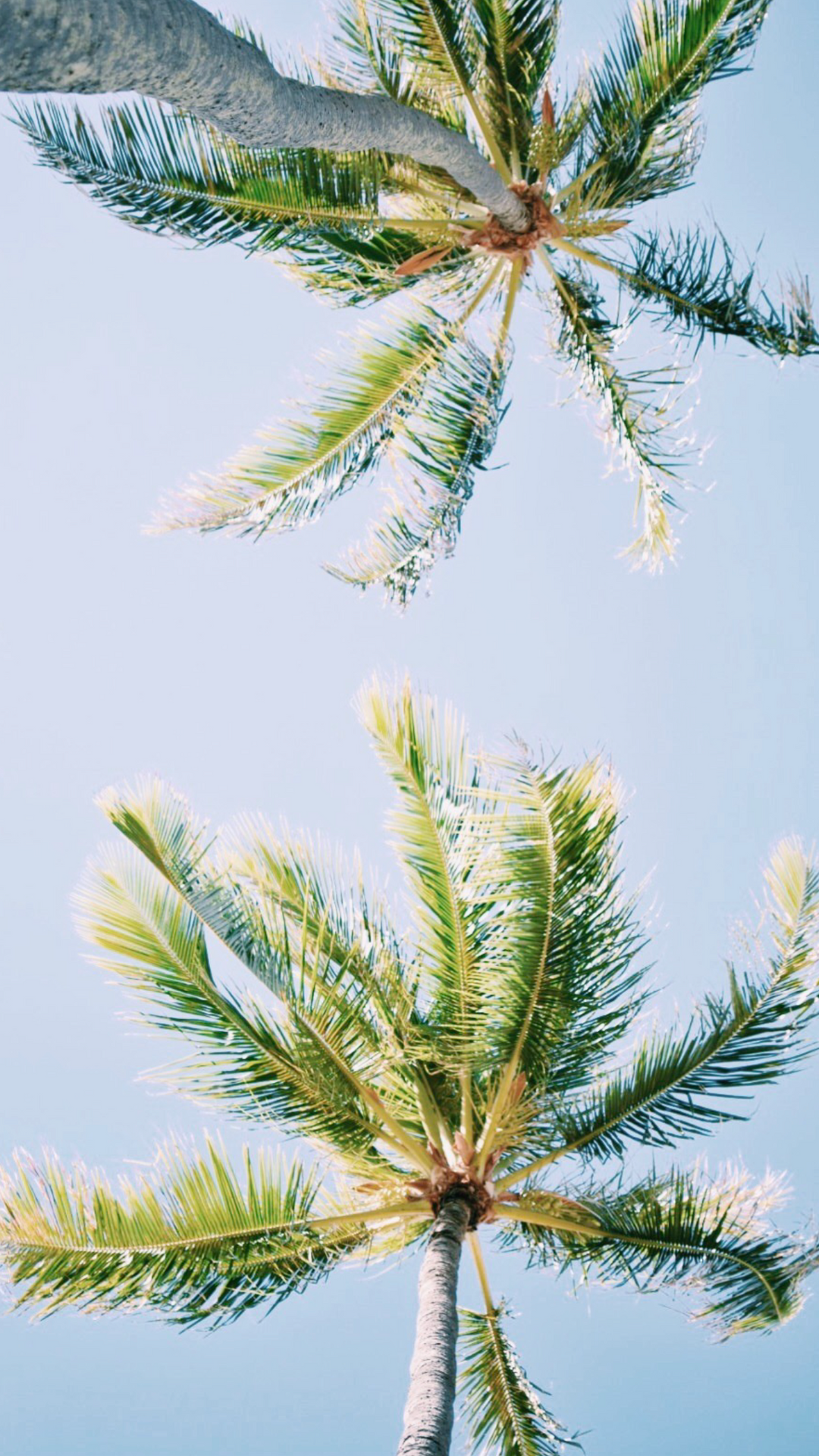 Gestational Diabetes Tips