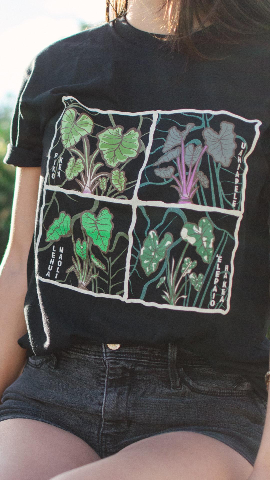 What is Hawaiian culture?