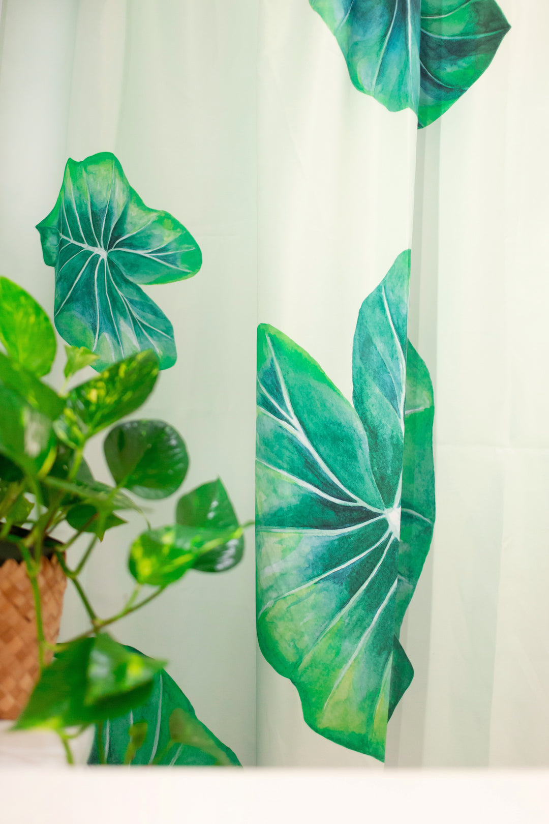Shower Curtain - Kalo